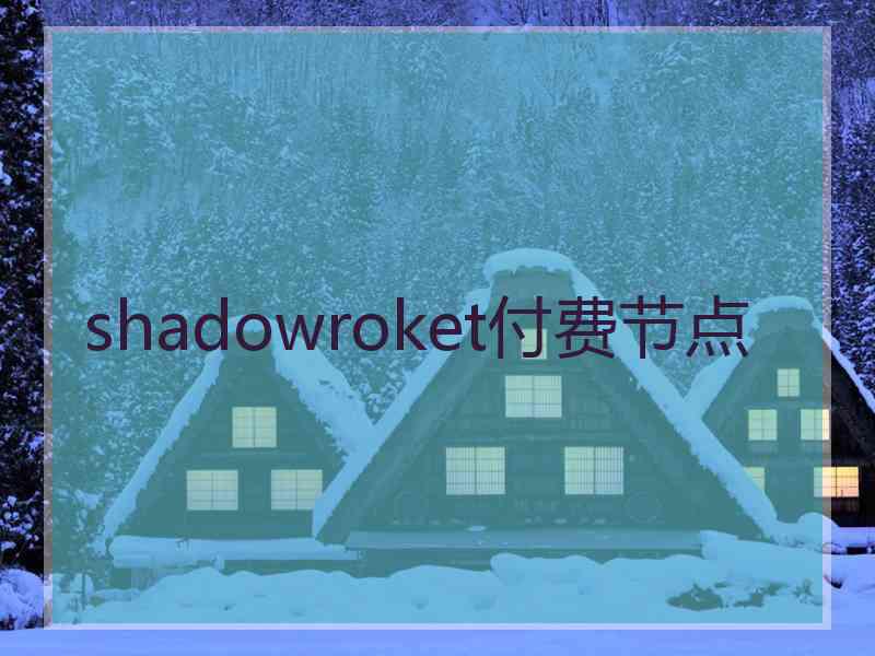 shadowroket付费节点