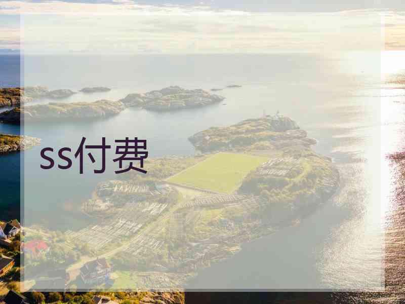 ss付费