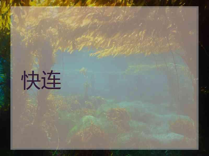 快连