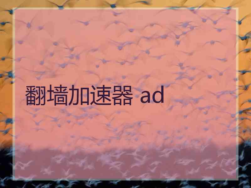 翻墙加速器 ad