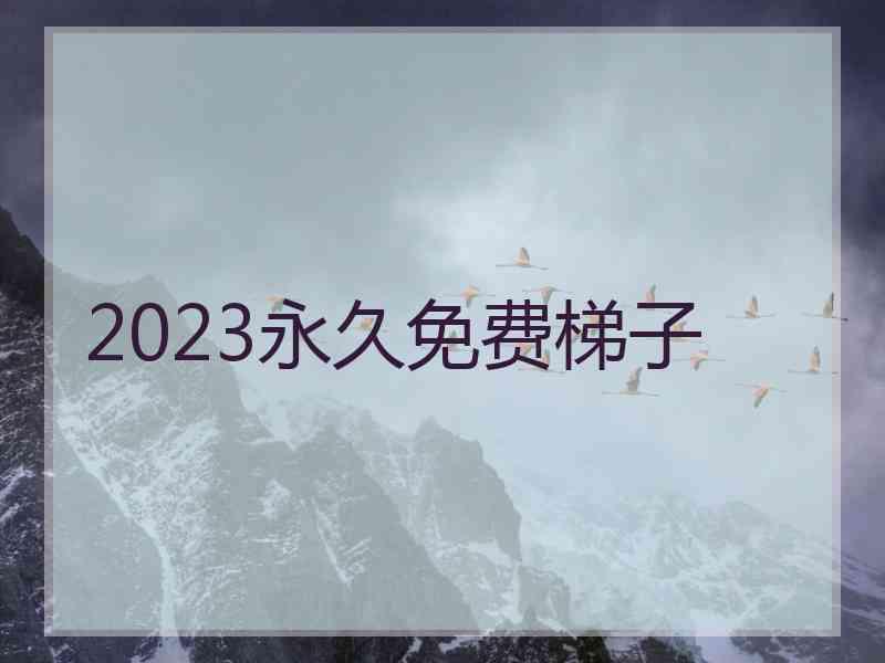 2023永久免费梯子