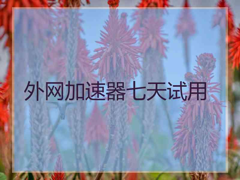外网加速器七天试用