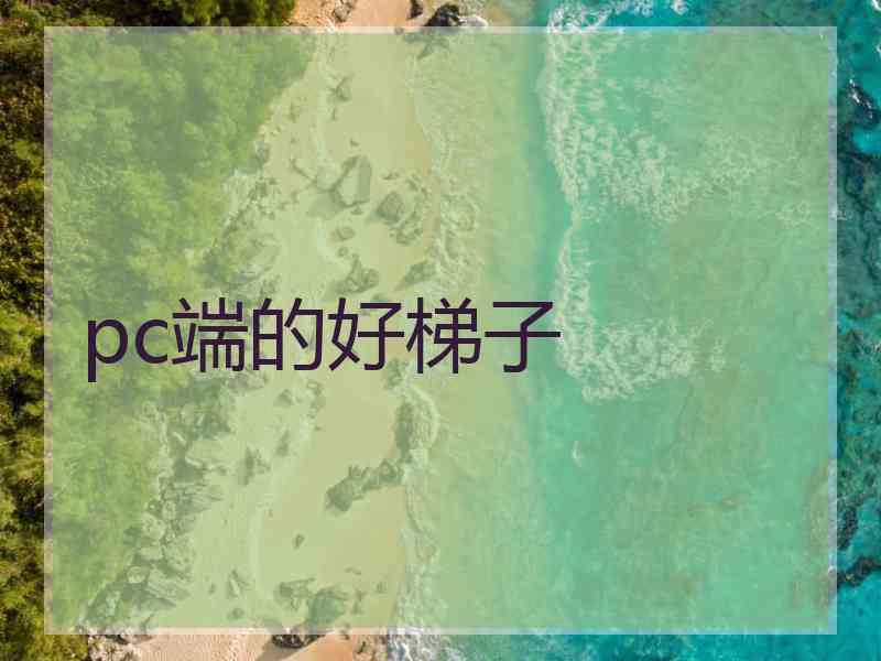 pc端的好梯子