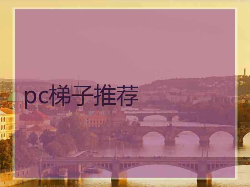 pc梯子推荐