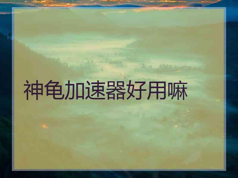 神龟加速器好用嘛