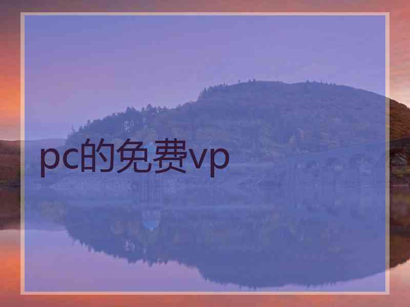 pc的免费vp