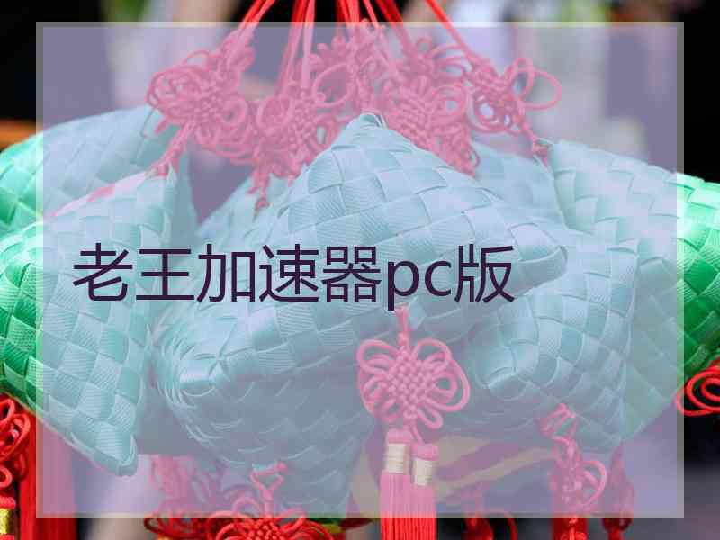 老王加速器pc版