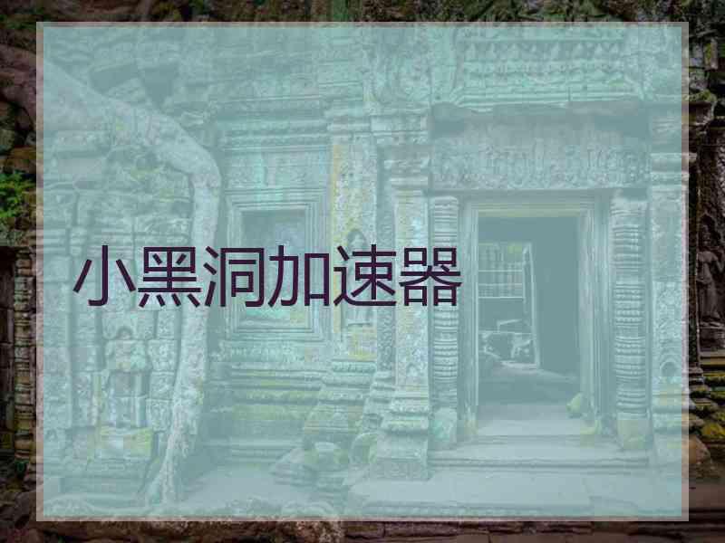 小黑洞加速器