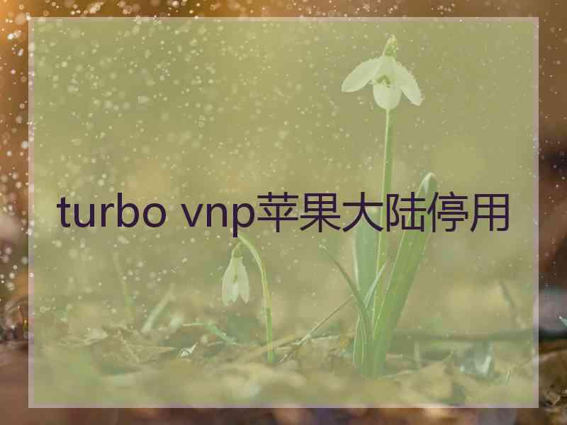 turbo vnp苹果大陆停用