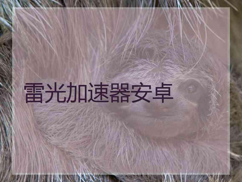 雷光加速器安卓