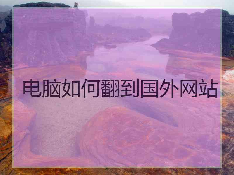 电脑如何翻到国外网站