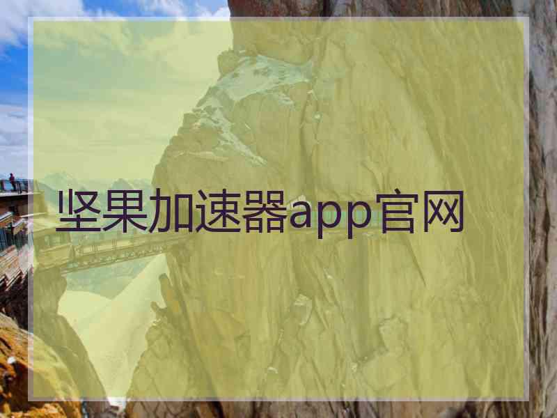 坚果加速器app官网