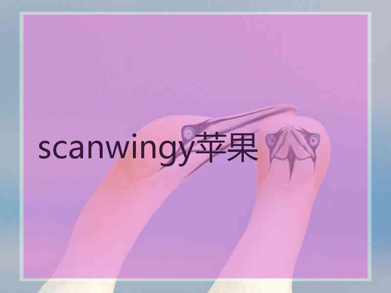 scanwingy苹果