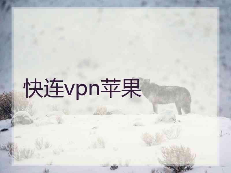 快连vpn苹果