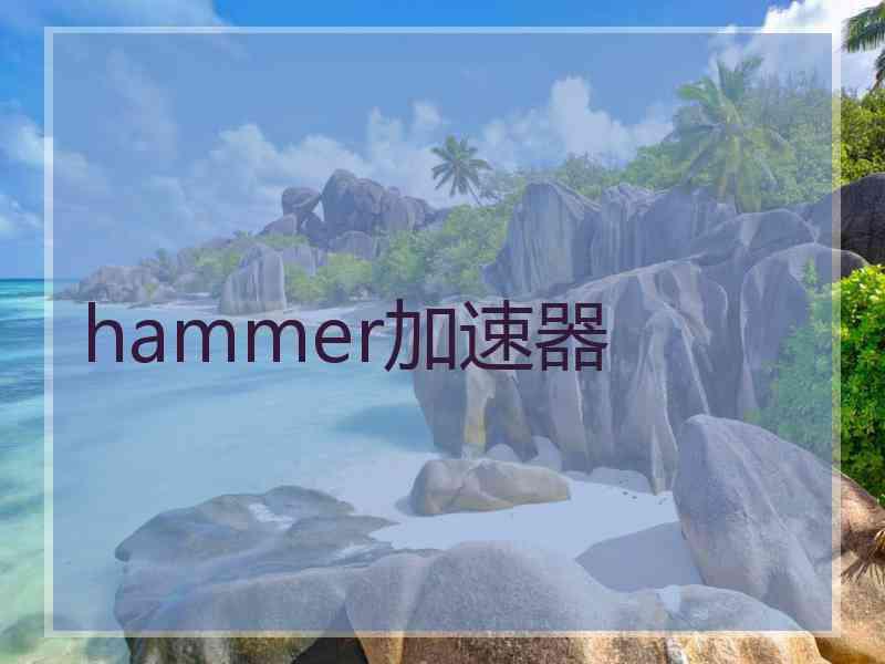 hammer加速器