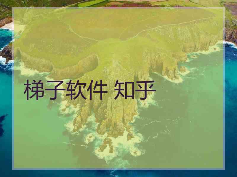 梯子软件 知乎