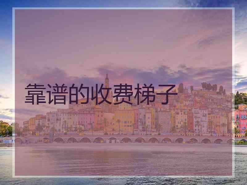 靠谱的收费梯子
