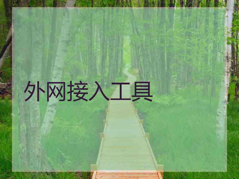外网接入工具