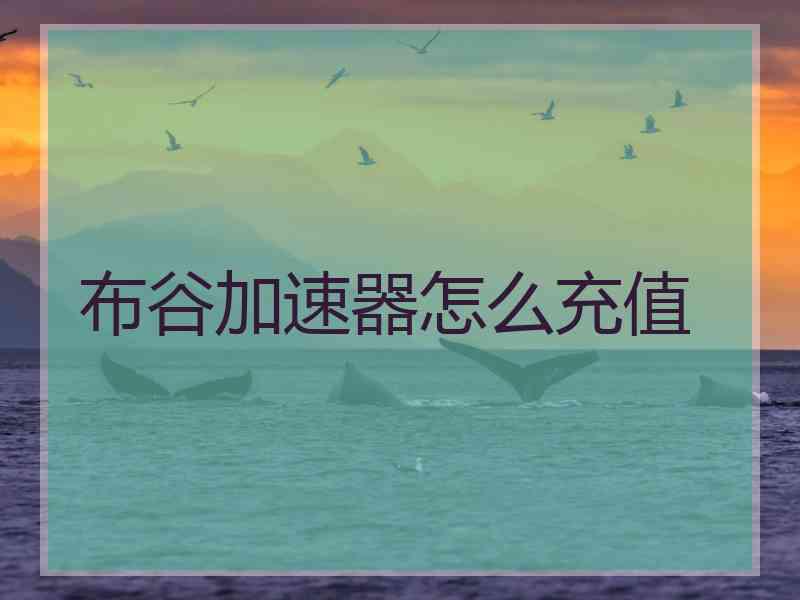 布谷加速器怎么充值