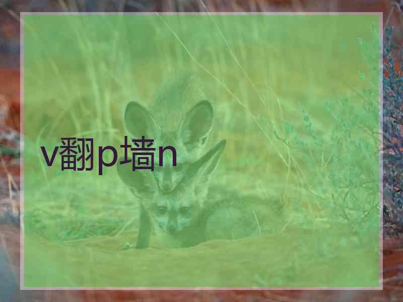 v翻p墙n