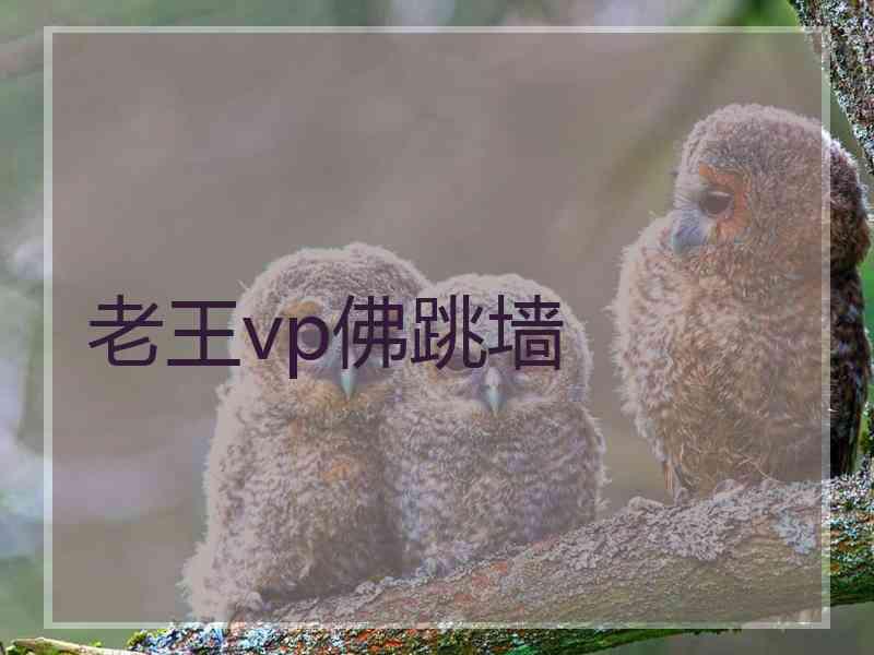老王vp佛跳墙