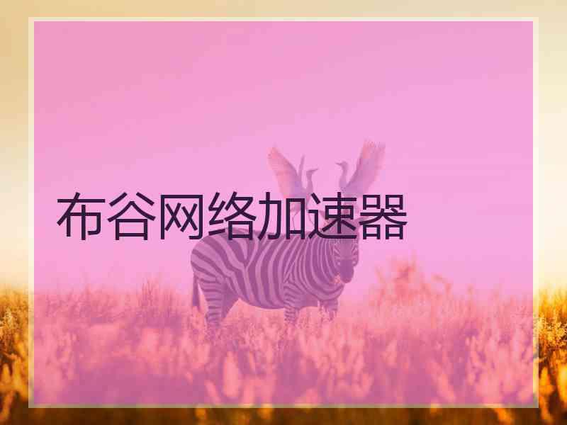 布谷网络加速器