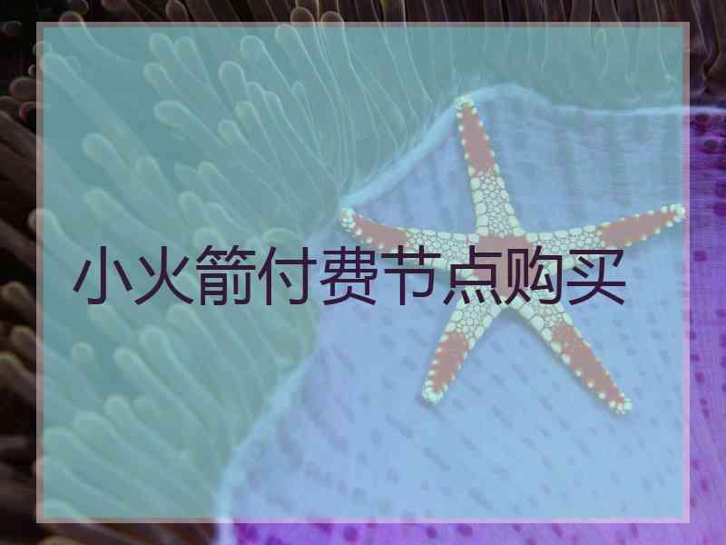 小火箭付费节点购买