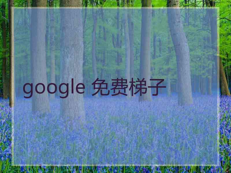 google 免费梯子