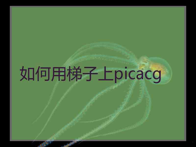 如何用梯子上picacg