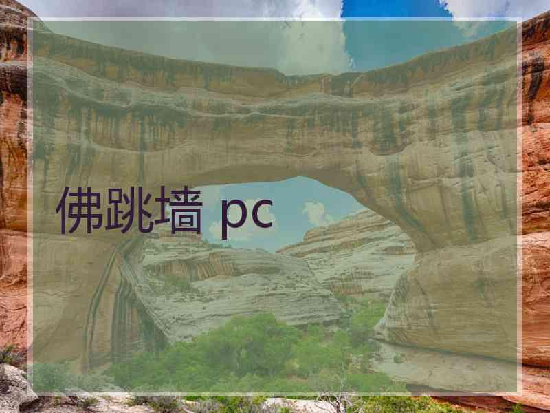 佛跳墙 pc