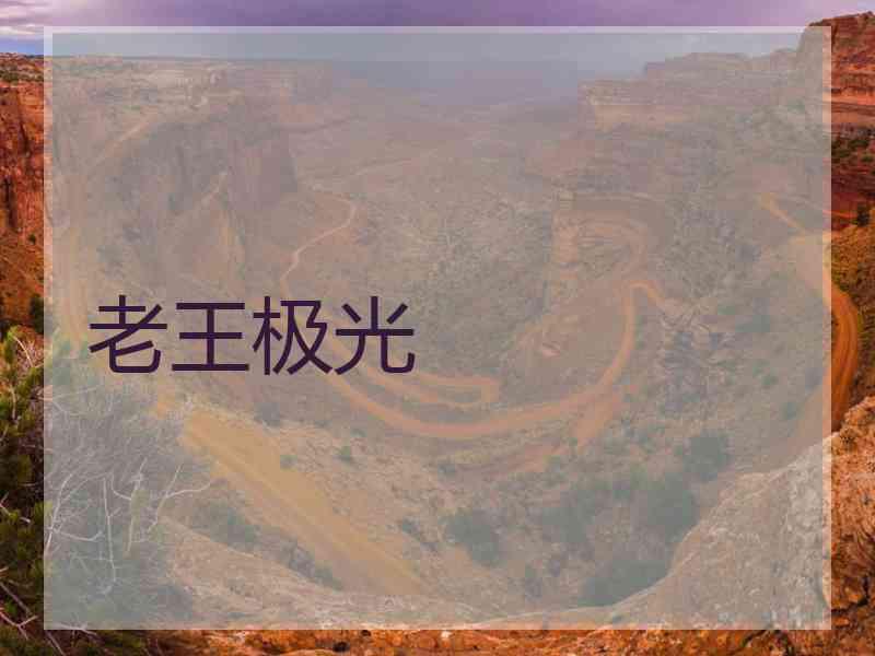 老王极光