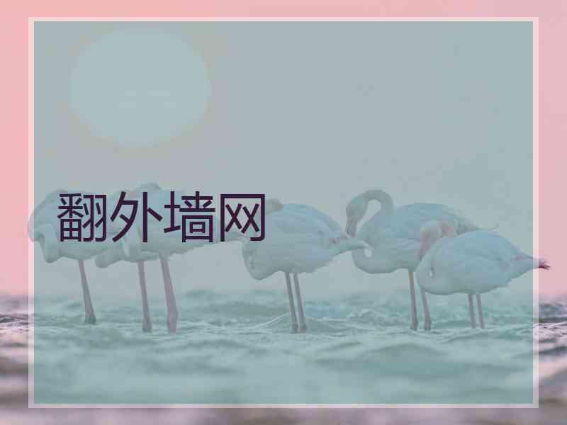 翻外墙网