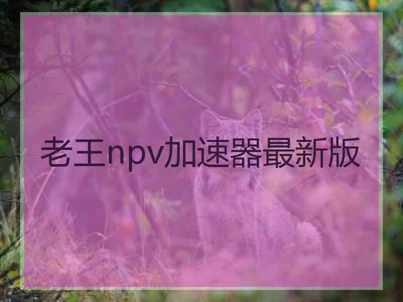 老王npv加速器最新版