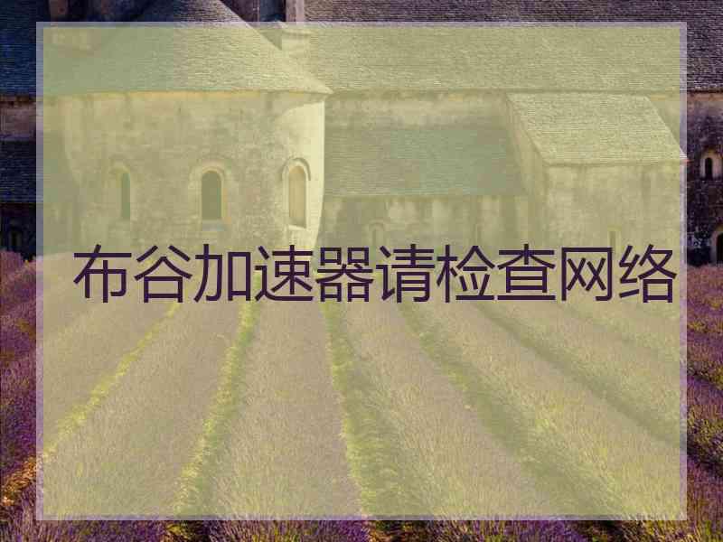 布谷加速器请检查网络