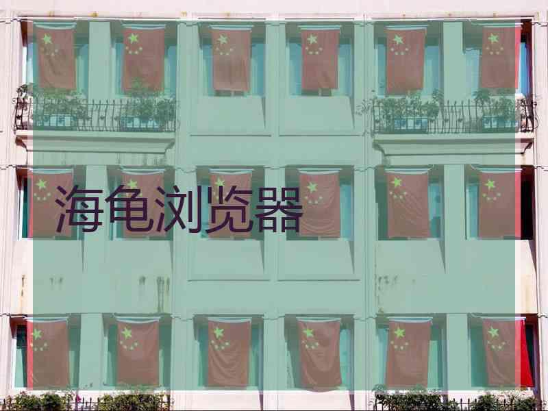 海龟浏览器