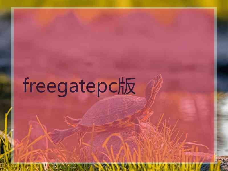 freegatepc版