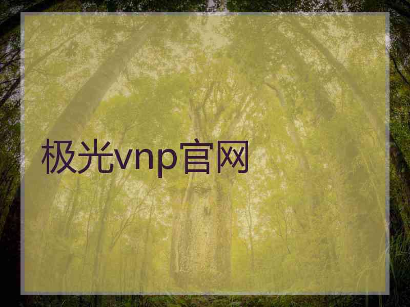 极光vnp官网