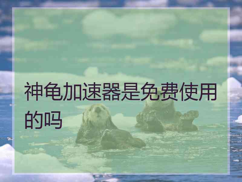 神龟加速器是免费使用的吗