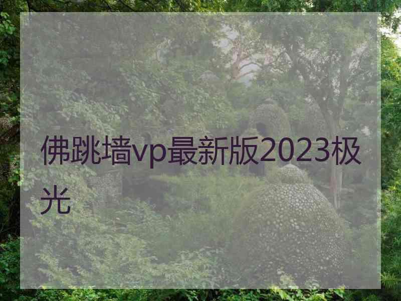 佛跳墙vp最新版2023极光