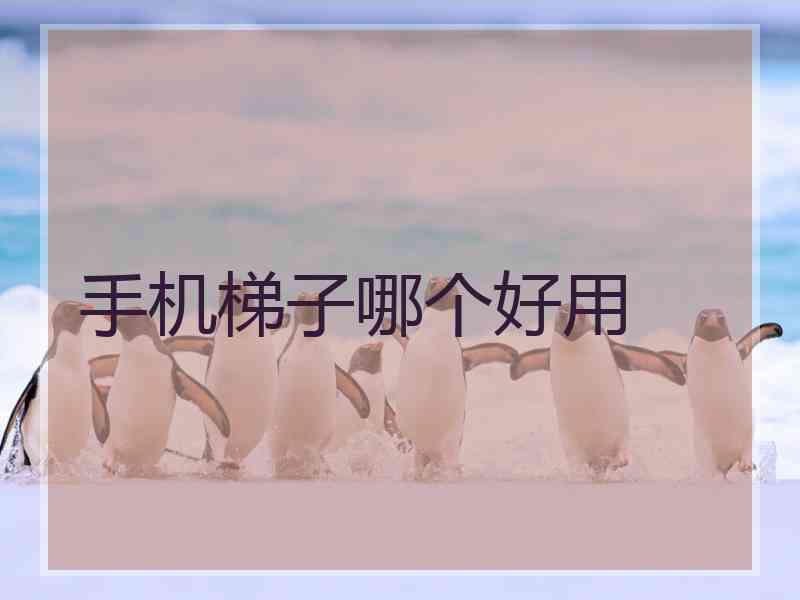 手机梯子哪个好用