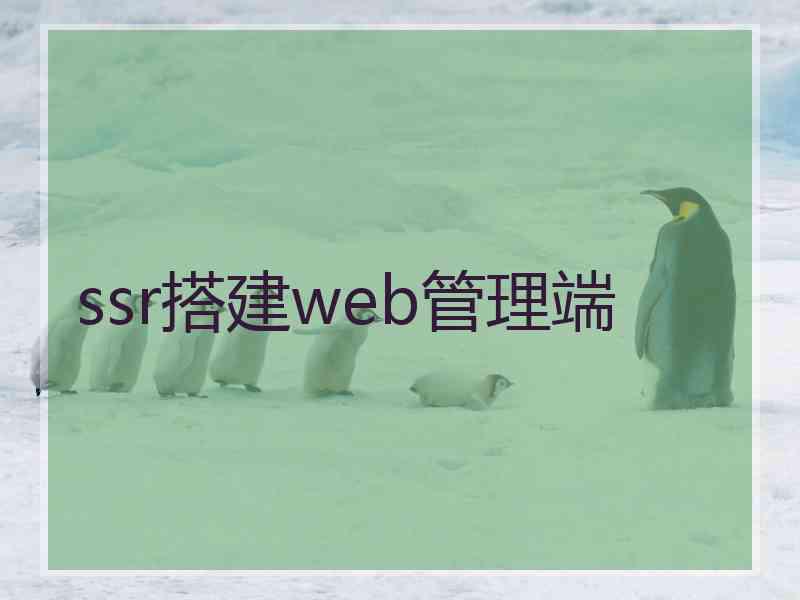 ssr搭建web管理端
