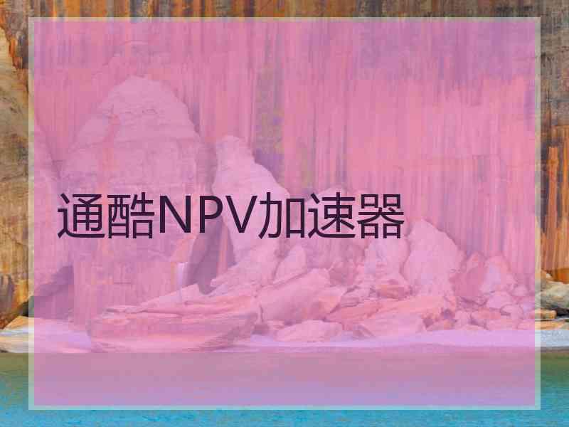 通酷NPV加速器