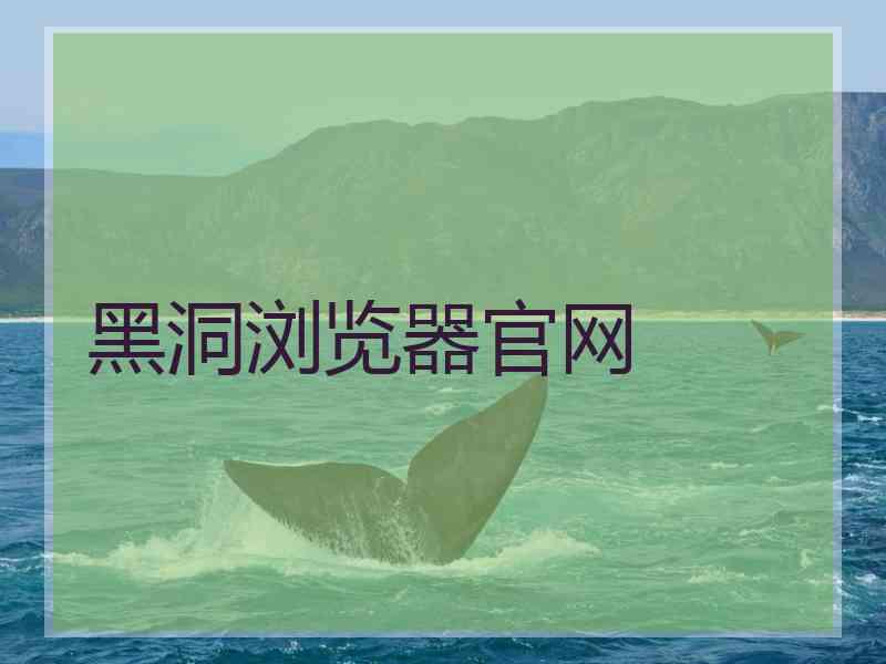 黑洞浏览器官网