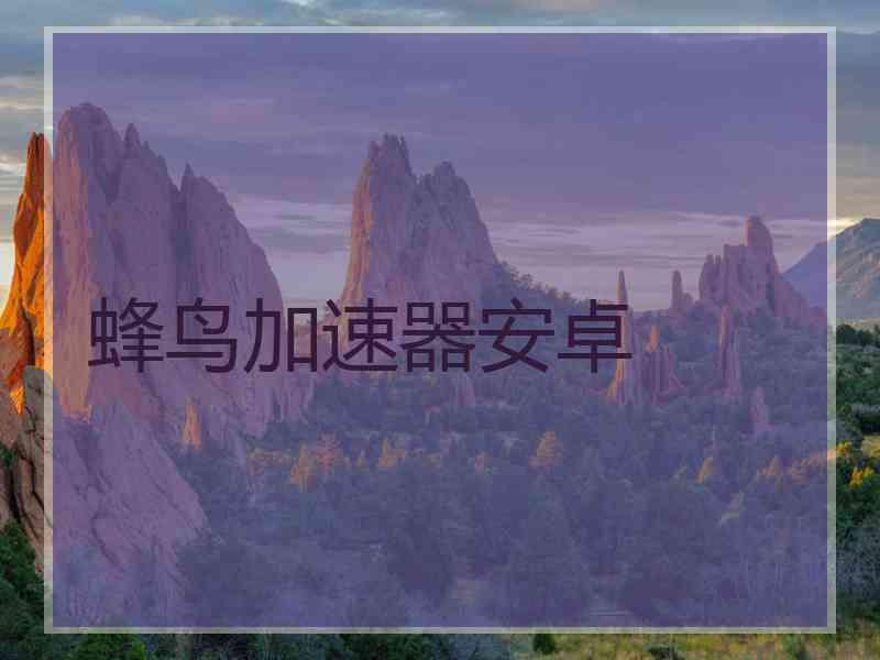蜂鸟加速器安卓