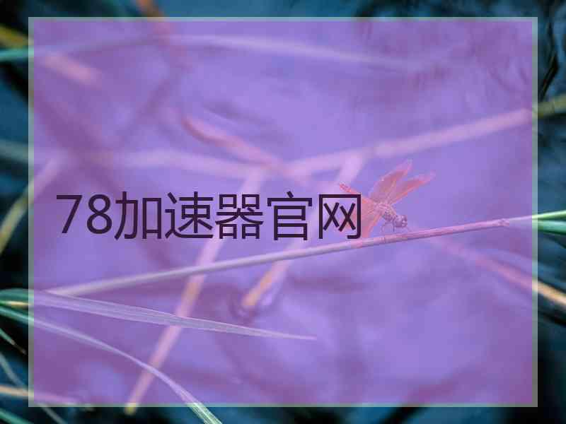 78加速器官网