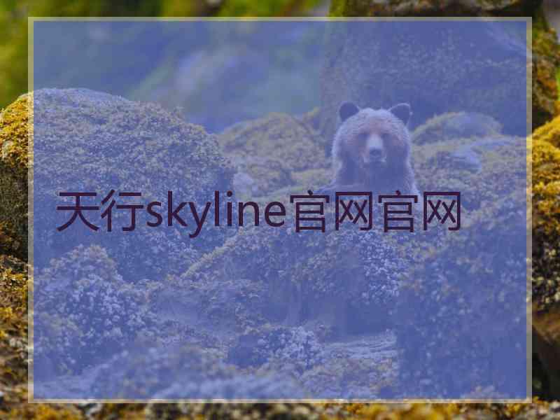 天行skyline官网官网