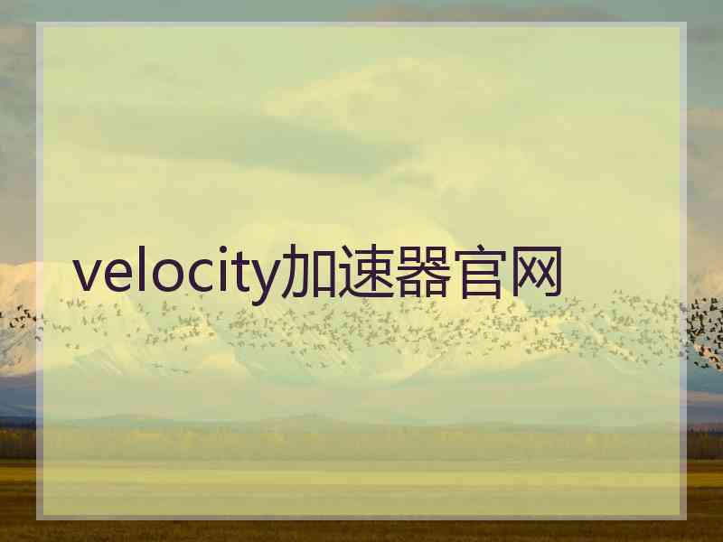 velocity加速器官网