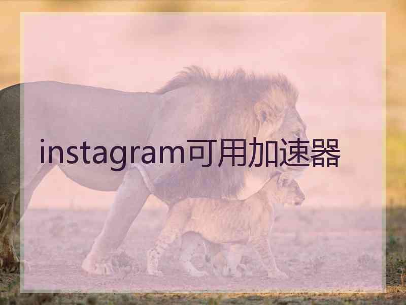 instagram可用加速器