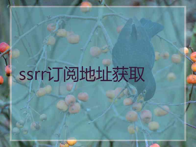 ssrr订阅地址获取