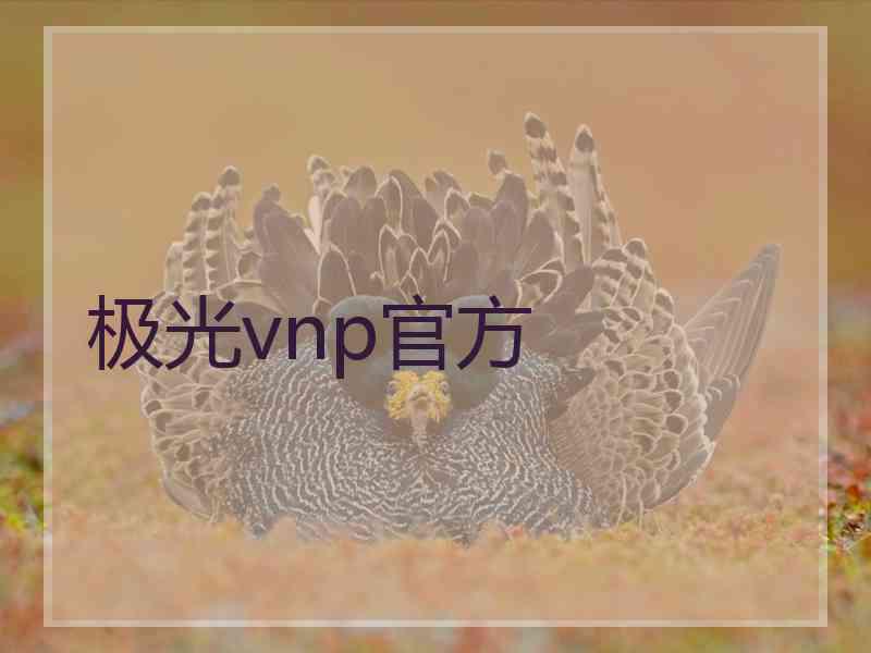 极光vnp官方